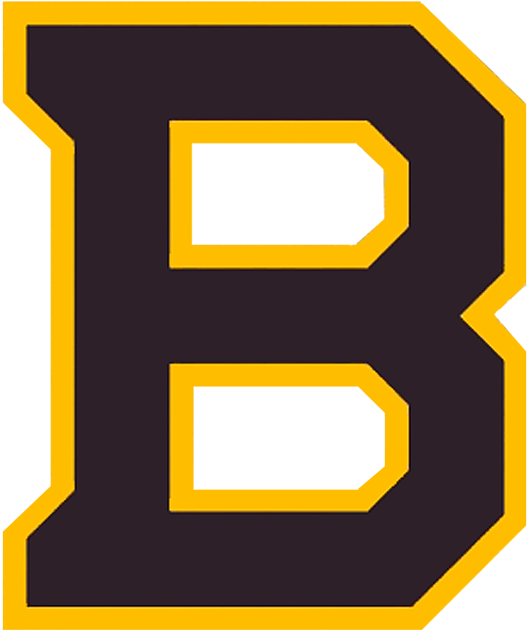 Boston Bruins 2018 19 Special Event Logo iron on paper